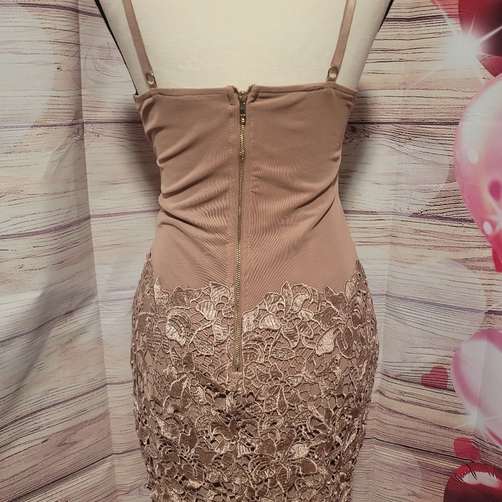 Elegant Lace Overlay Dress - Picture 6 of 11